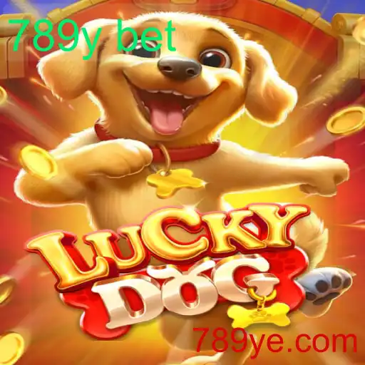Descubra o Mundo do LuckyDog 789y Bet